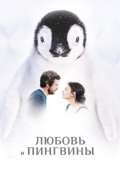 Любовь и пингвины